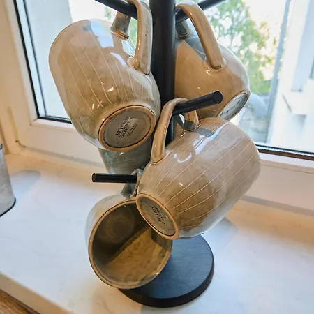 Papagei In Der Schweriner Altstadt - Abc569 *