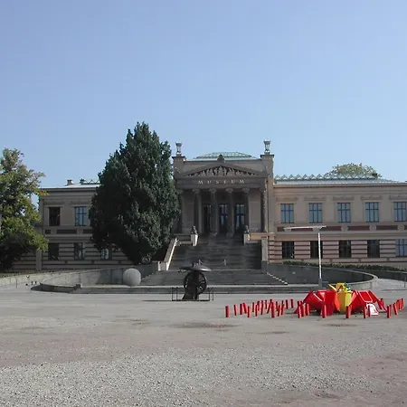Papagei In Der Schweriner Altstadt - Abc569
