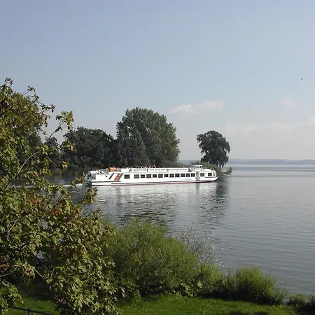 Papagei In Der Schweriner Altstadt - Abc569 Apartment
