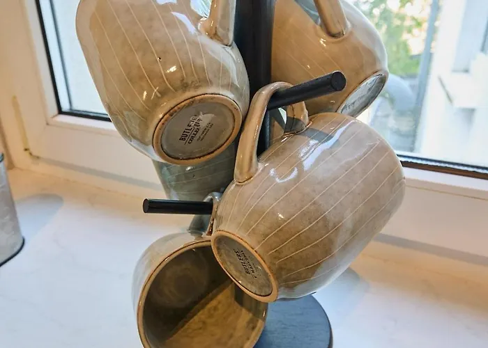 Papagei In Der Schweriner Altstadt - Abc569 *