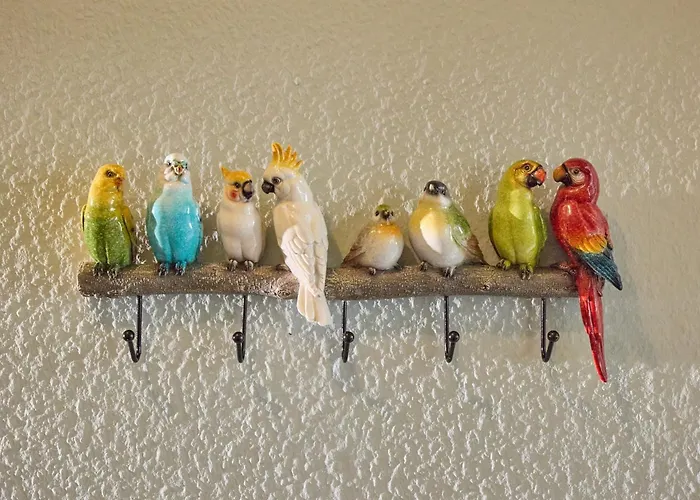 Papagei In Der Schweriner Altstadt - Abc569