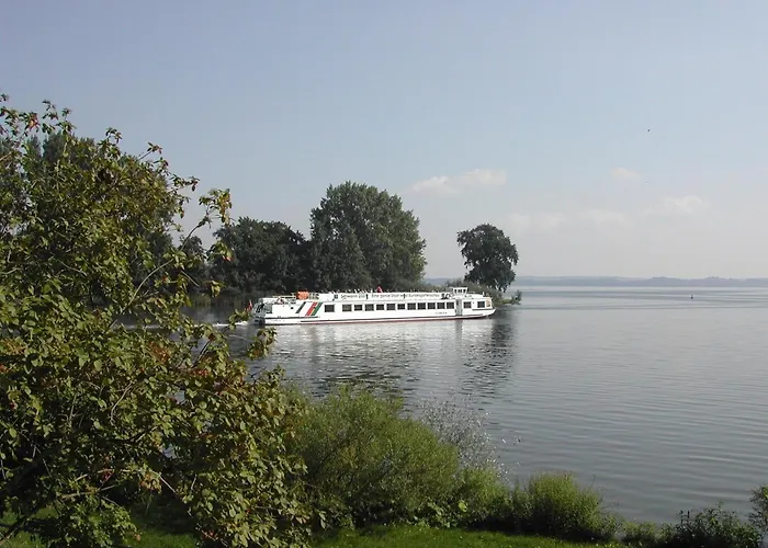 Papagei In Der Schweriner Altstadt - Abc569 Lägenhet